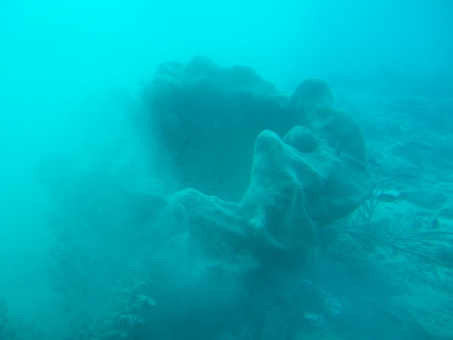 PA210124