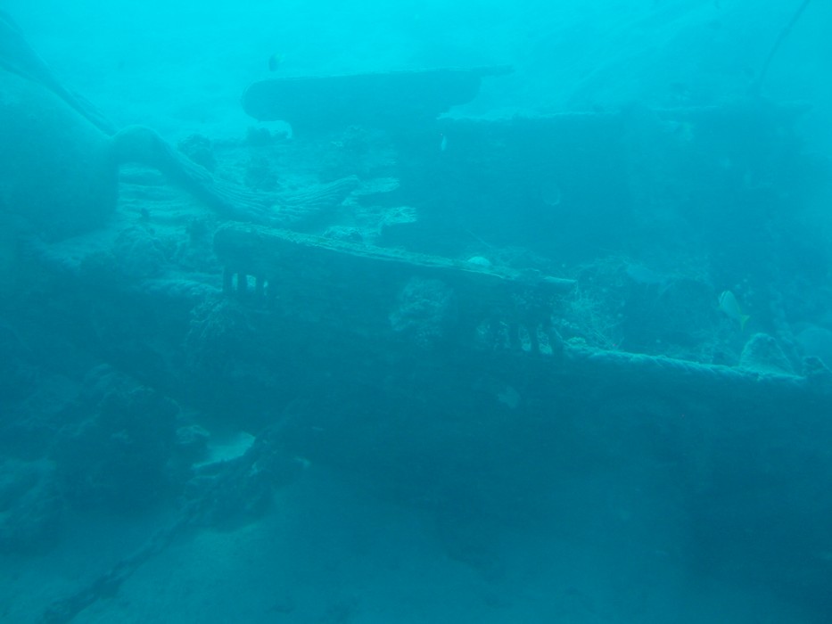 PA210135