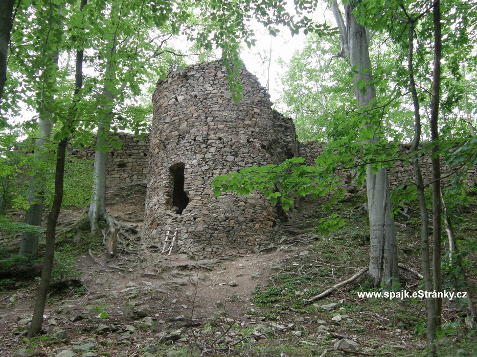 P7130377