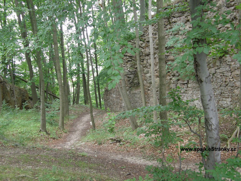 P7130423